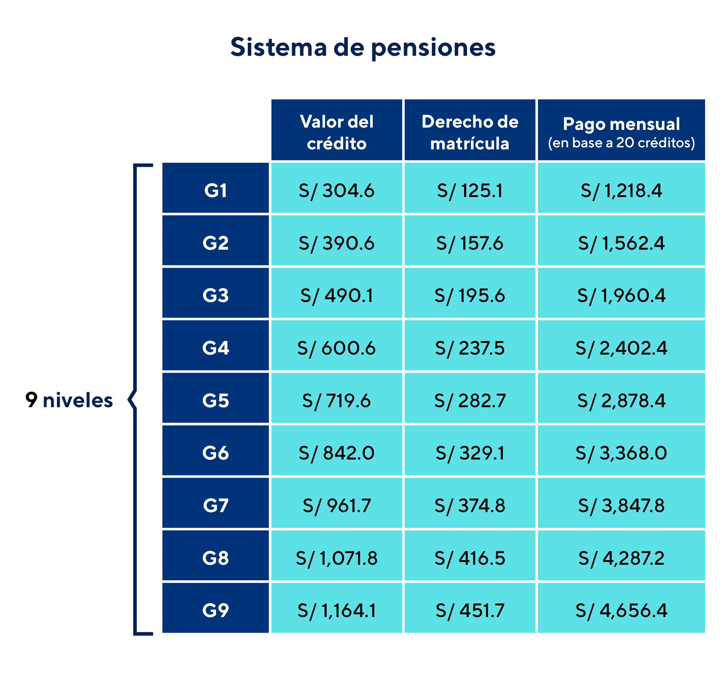 Niveles de pago