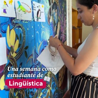 Estudiante de Lingüística 